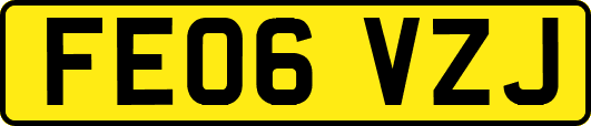 FE06VZJ