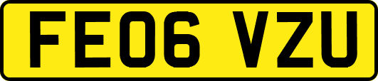 FE06VZU