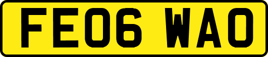 FE06WAO