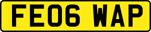 FE06WAP