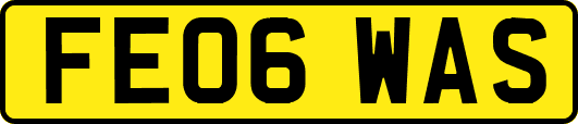 FE06WAS
