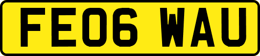 FE06WAU