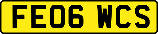 FE06WCS
