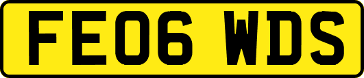 FE06WDS