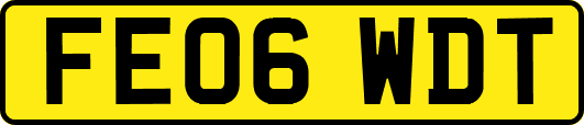 FE06WDT