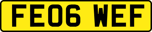 FE06WEF