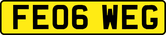 FE06WEG