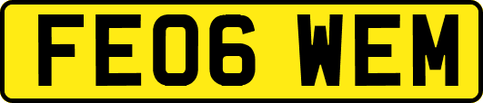 FE06WEM