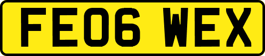 FE06WEX