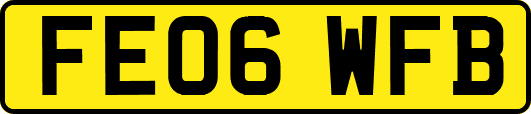 FE06WFB
