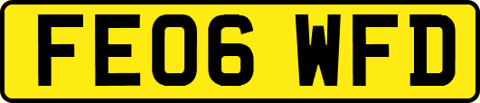 FE06WFD