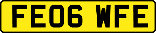 FE06WFE
