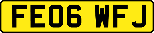 FE06WFJ