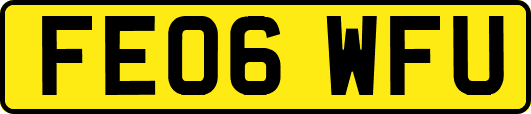 FE06WFU