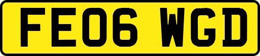 FE06WGD
