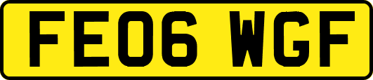FE06WGF