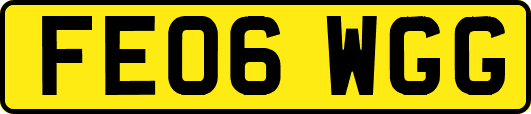 FE06WGG