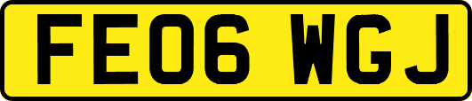 FE06WGJ