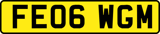 FE06WGM