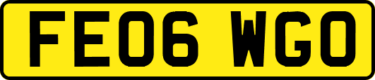 FE06WGO