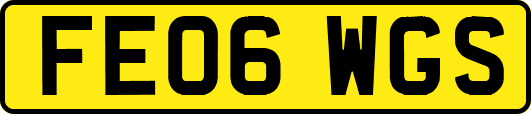 FE06WGS