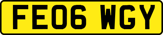 FE06WGY
