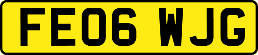 FE06WJG