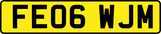 FE06WJM