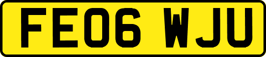 FE06WJU