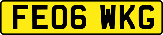 FE06WKG