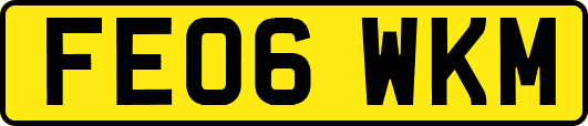 FE06WKM