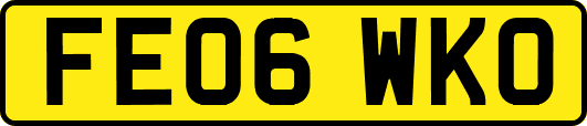 FE06WKO