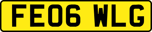 FE06WLG