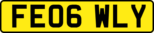 FE06WLY