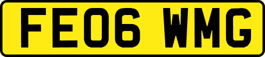 FE06WMG