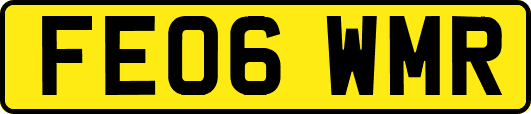 FE06WMR