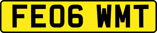 FE06WMT