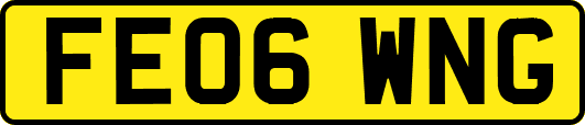 FE06WNG
