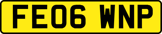 FE06WNP