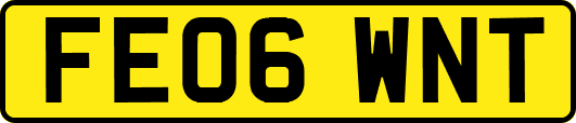 FE06WNT