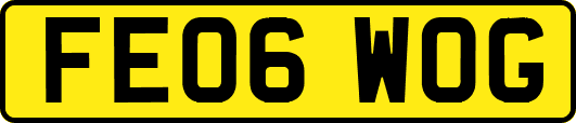 FE06WOG