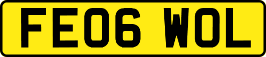 FE06WOL