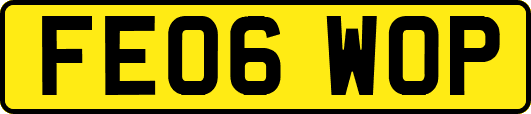 FE06WOP