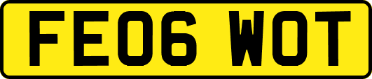 FE06WOT