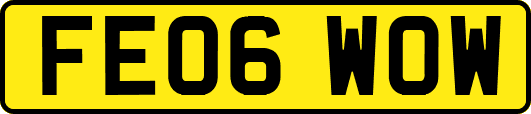 FE06WOW
