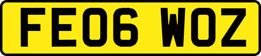 FE06WOZ