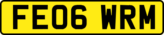 FE06WRM