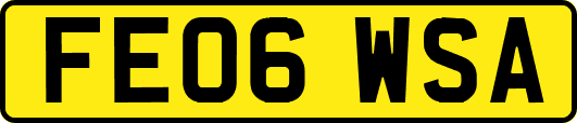 FE06WSA