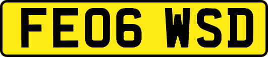 FE06WSD