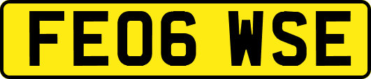 FE06WSE